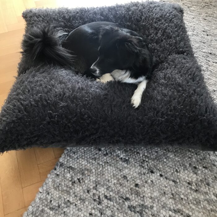CARMA Hundekissen grau 90x90cm – Bild 2