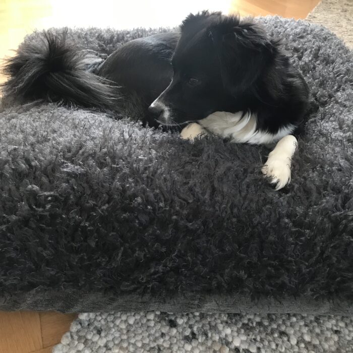 CARMA Hundekissen grau 90x90cm – Bild 3
