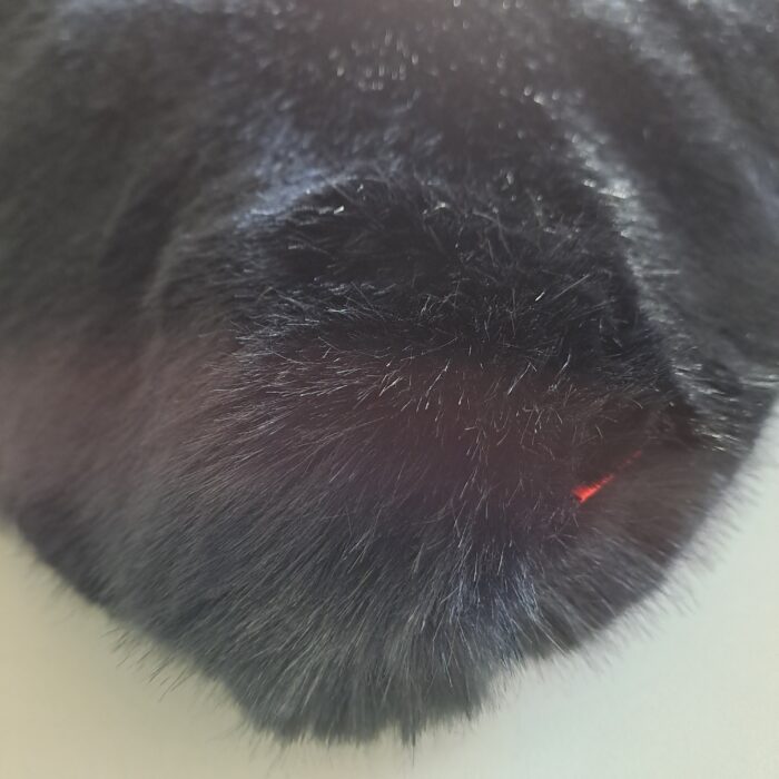 Panther black Kissenhüllen – Bild 3