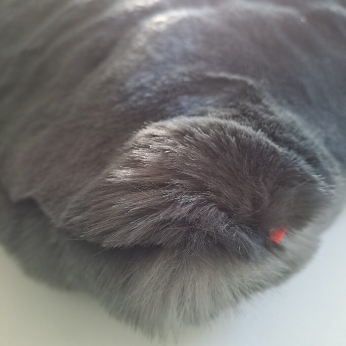 Panther carbon Kissenhüllen – Bild 3